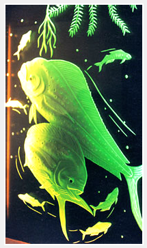 dolphin