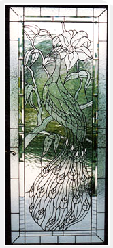 peacock